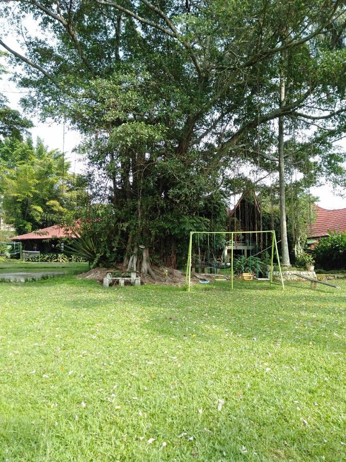 Bagus Bay Homestay 툭툭 외부 사진
